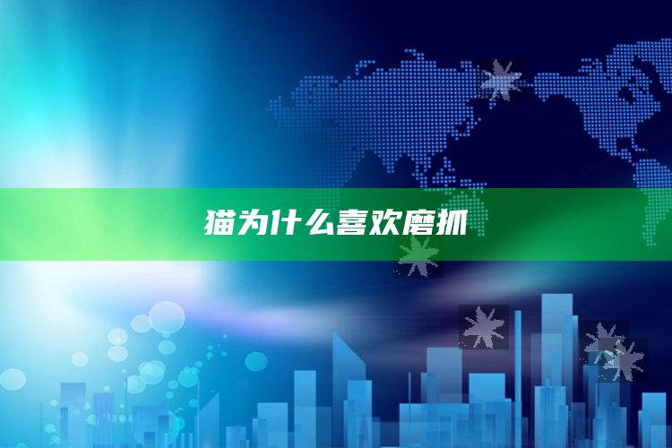 猫为什么喜欢磨抓
