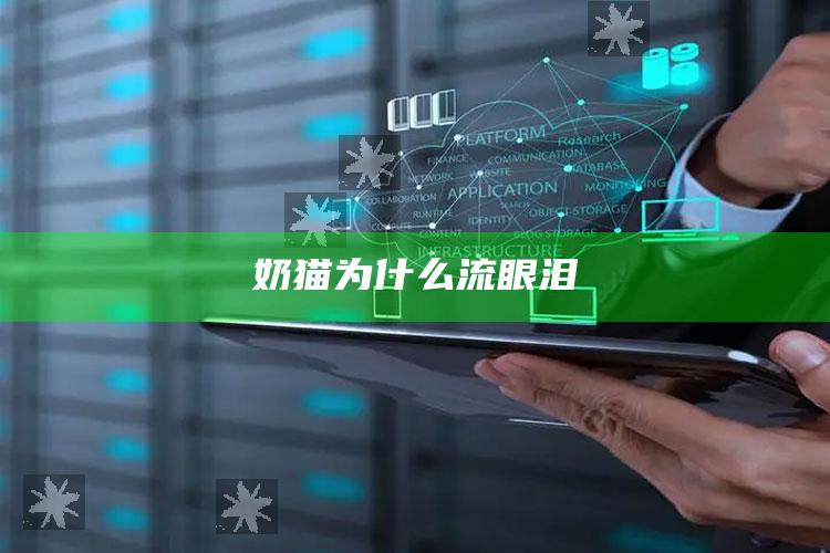 奶猫为什么流眼泪