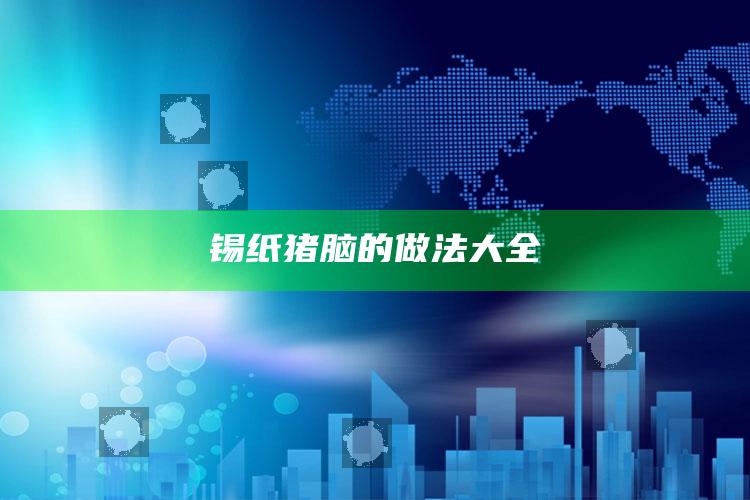 锡纸猪脑的做法大全