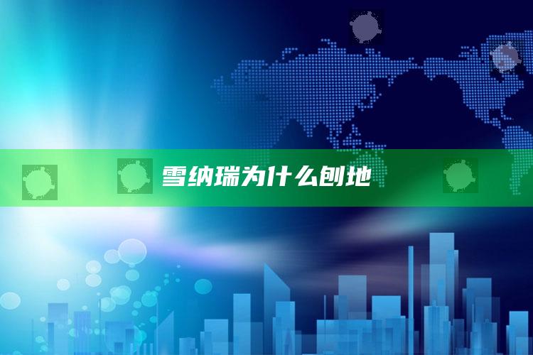 雪纳瑞为什么刨地