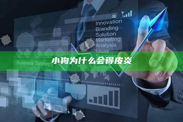 小狗为什么会得皮炎