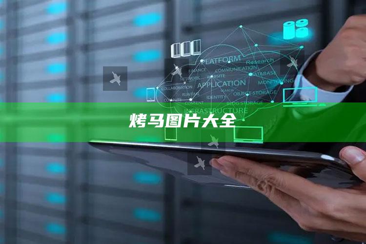 烤马图片大全