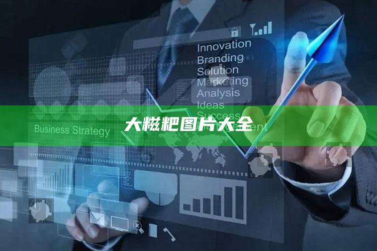 大糍粑图片大全