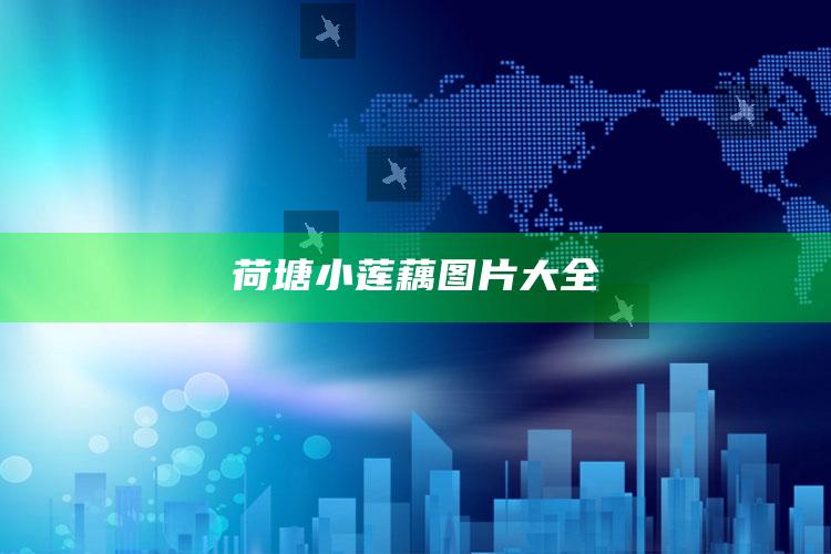 荷塘小莲藕图片大全