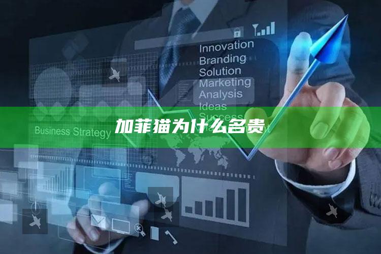 加菲猫为什么名贵