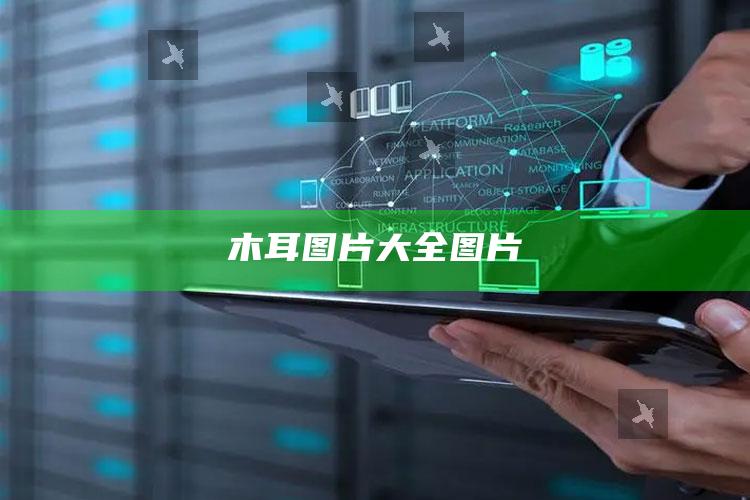 木耳图片大全图片