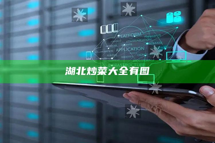 湖北炒菜大全有图