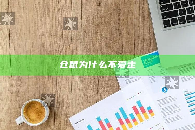 仓鼠为什么不爱走