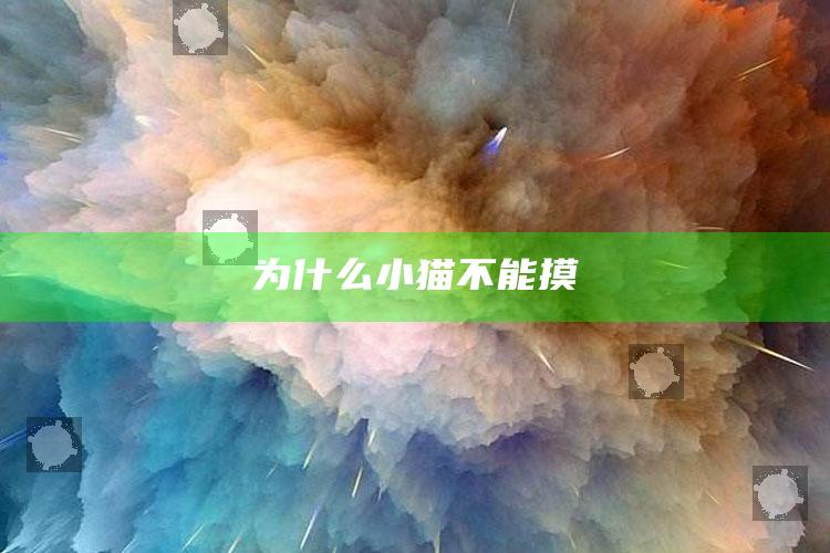 为什么小猫不能摸