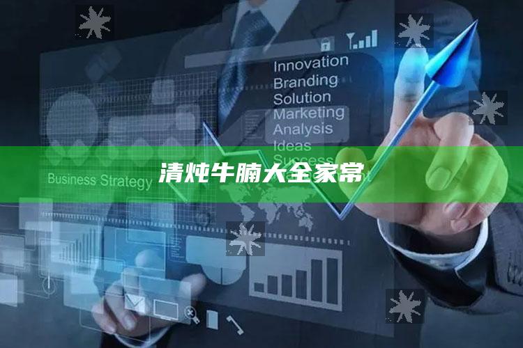 清炖牛腩大全家常