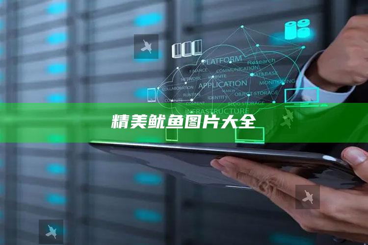 精美鱿鱼图片大全