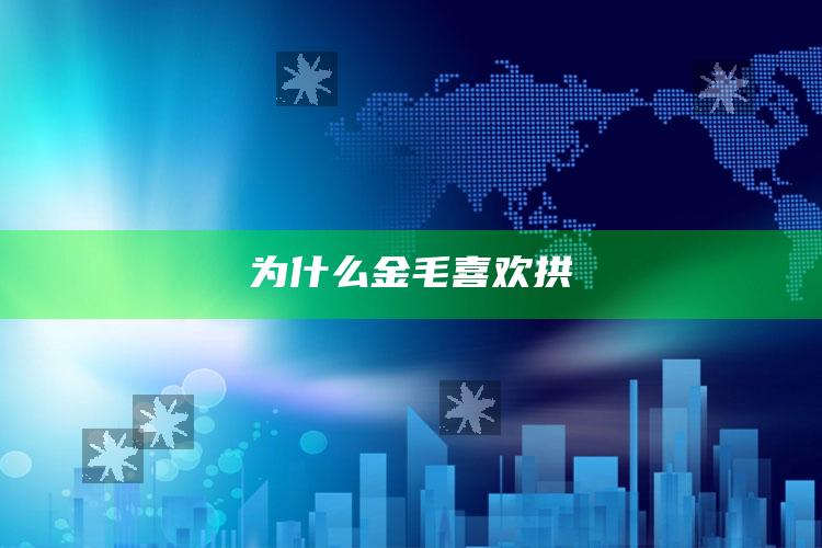 为什么金毛喜欢拱