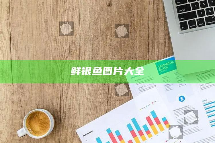 鲜银鱼图片大全