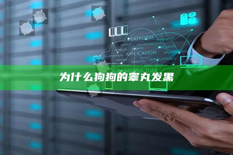 为什么狗狗的睾丸发黑