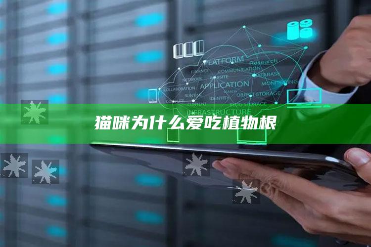 猫咪为什么爱吃植物根