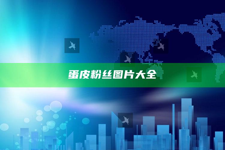 蛋皮粉丝图片大全