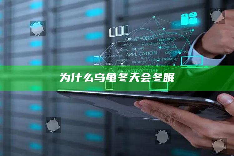 为什么乌龟冬天会冬眠