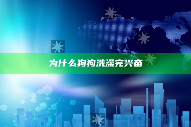 为什么狗狗洗澡完兴奋