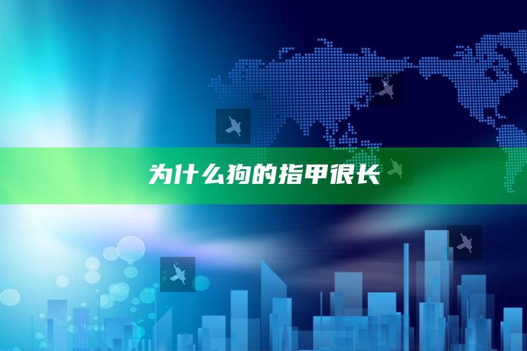 为什么狗的指甲很长