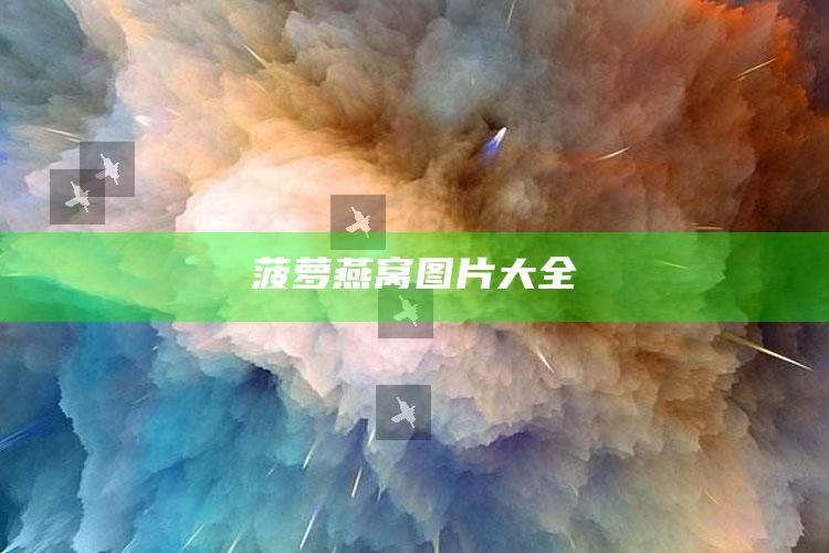 菠萝燕窝图片大全