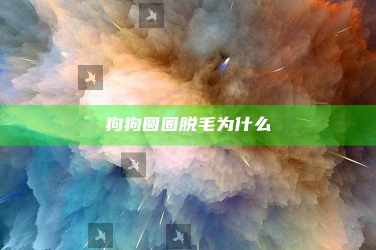 狗狗圆圈脱毛为什么