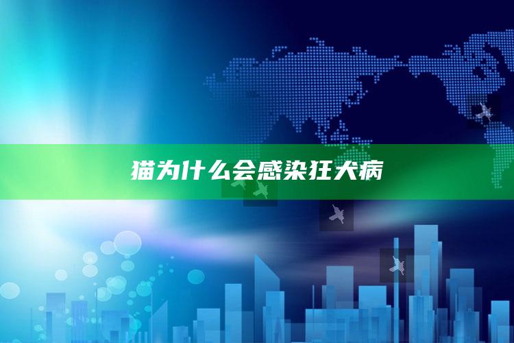 猫为什么会感染狂犬病