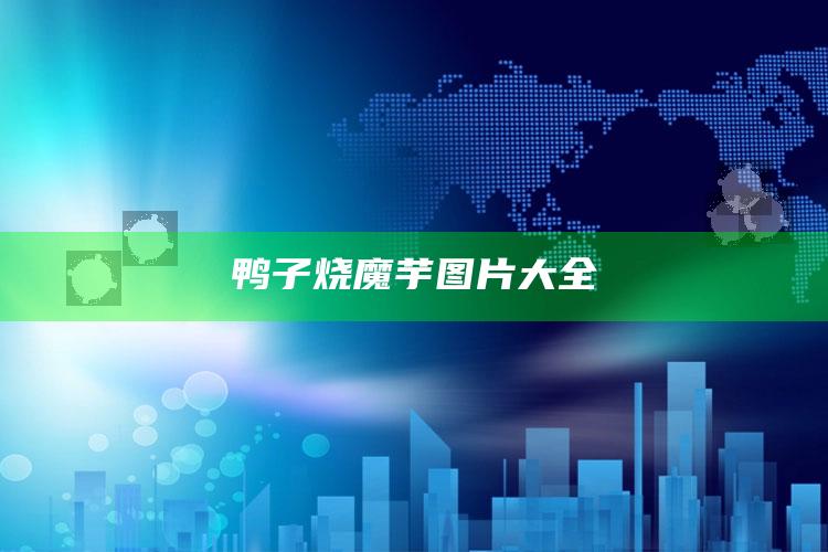 鸭子烧魔芋图片大全