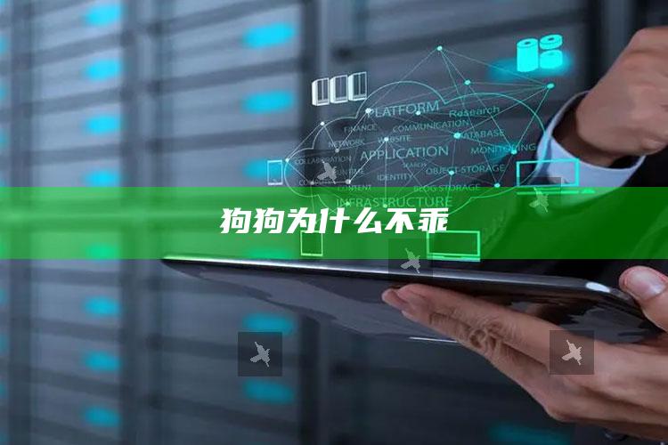 狗狗为什么不乖