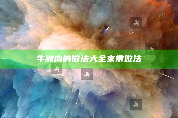 牛腩肉的做法大全家常做法