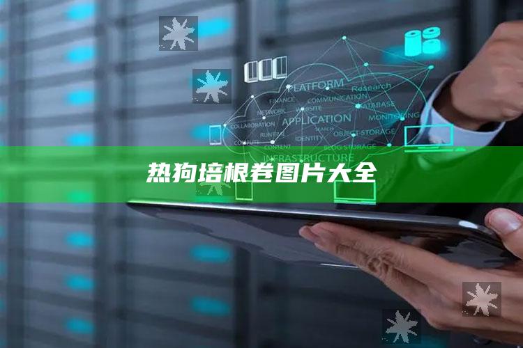 热狗培根卷图片大全