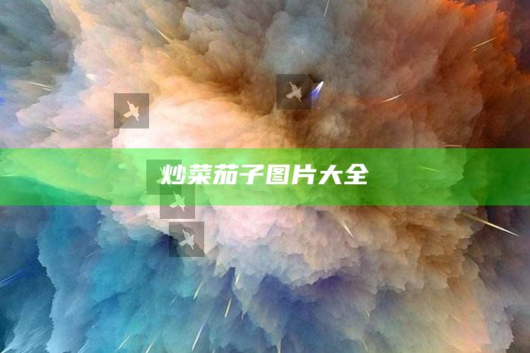 炒菜茄子图片大全