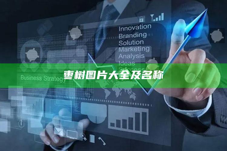 枣树图片大全及名称