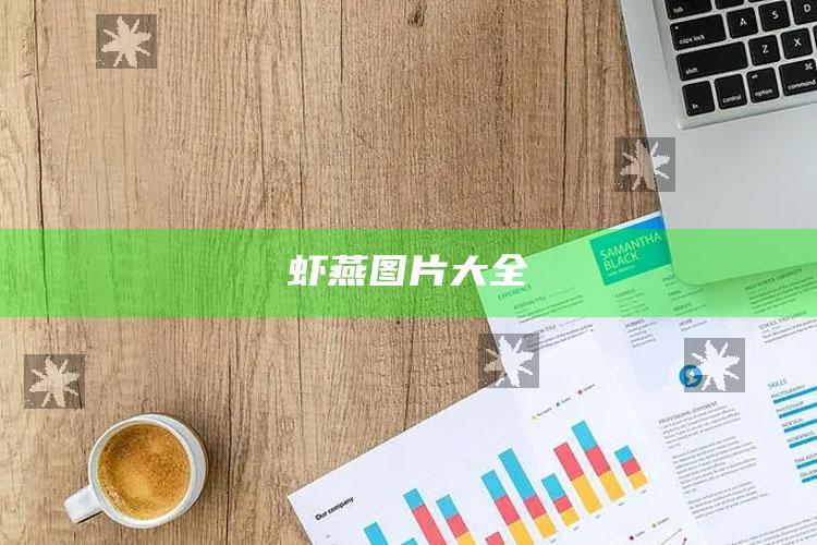 虾燕图片大全