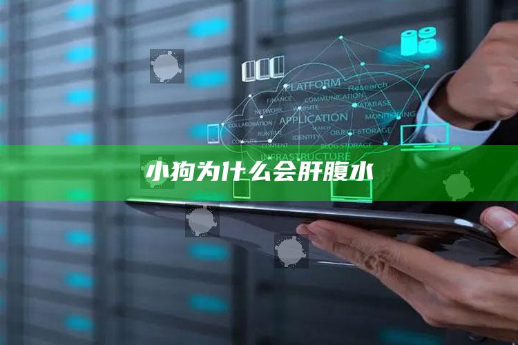 小狗为什么会肝腹水