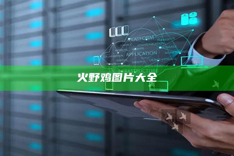 火野鸡图片大全