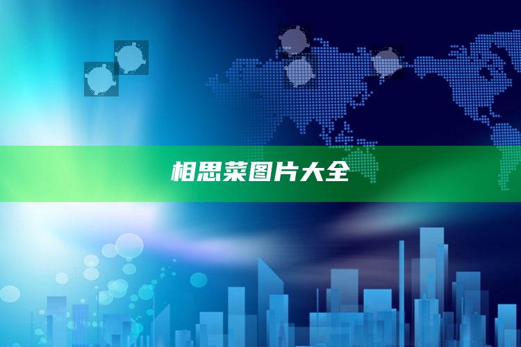 相思菜图片大全