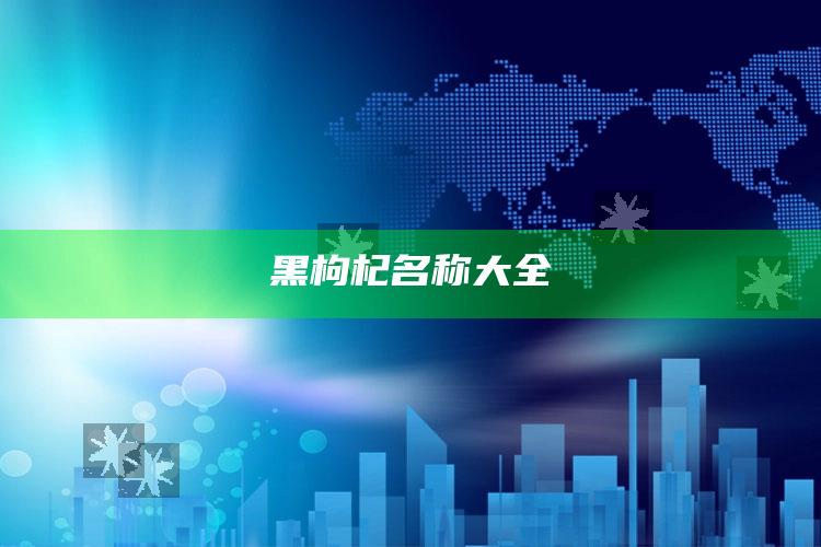 黑枸杞名称大全