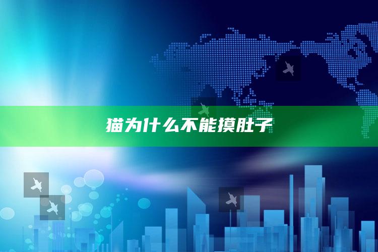 猫为什么不能摸肚子