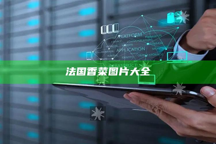 法国香菜图片大全
