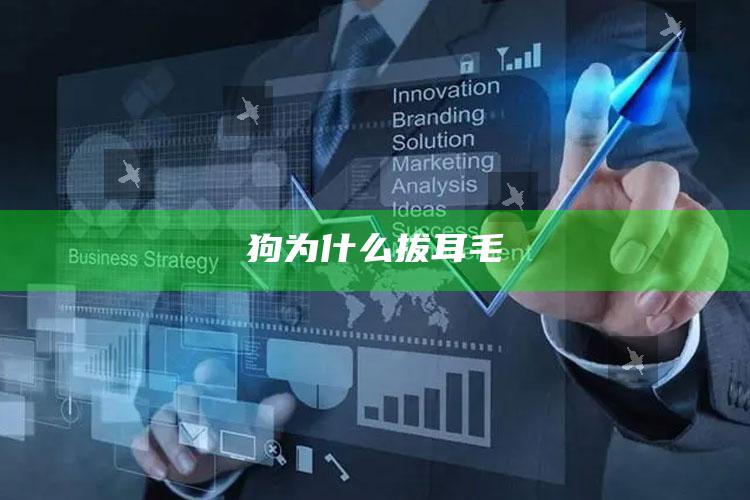 狗为什么拔耳毛