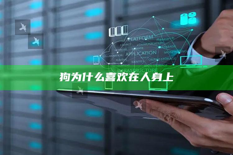 狗为什么喜欢在人身上