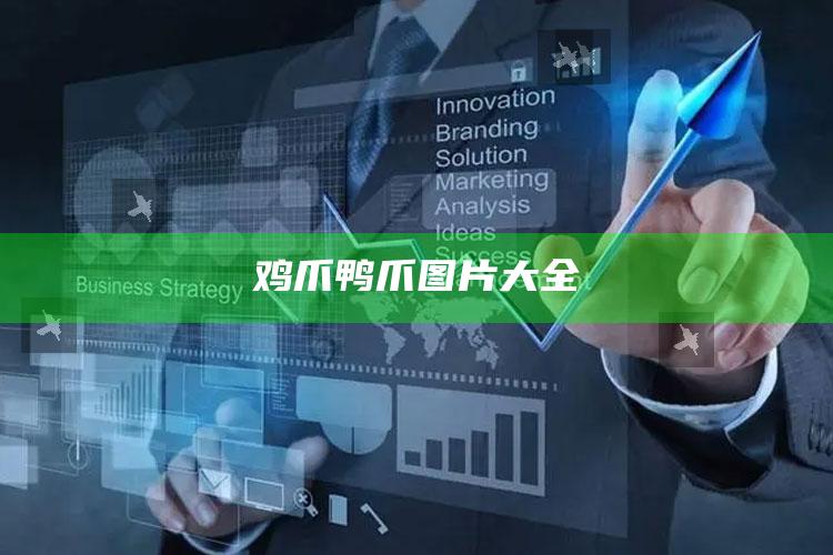 鸡爪鸭爪图片大全