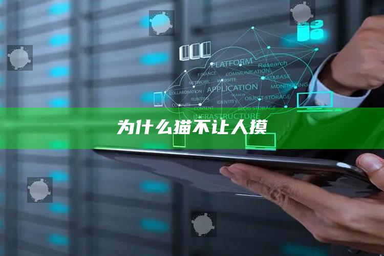 为什么猫不让人摸