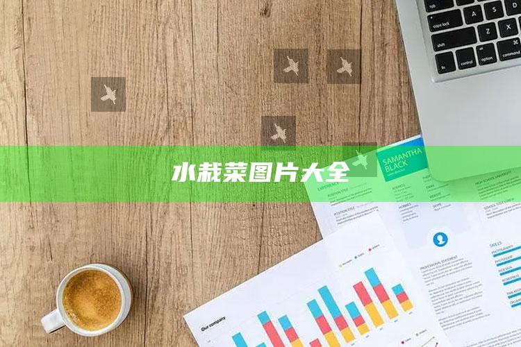 水栽菜图片大全