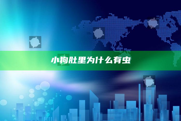 小狗肚里为什么有虫