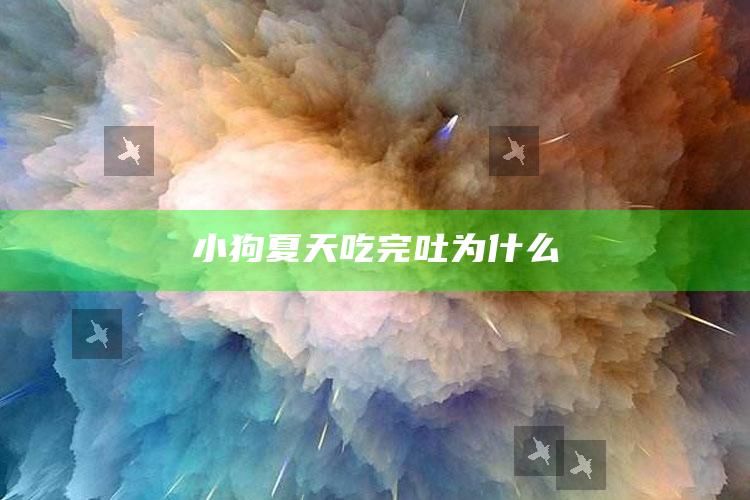 小狗夏天吃完吐为什么