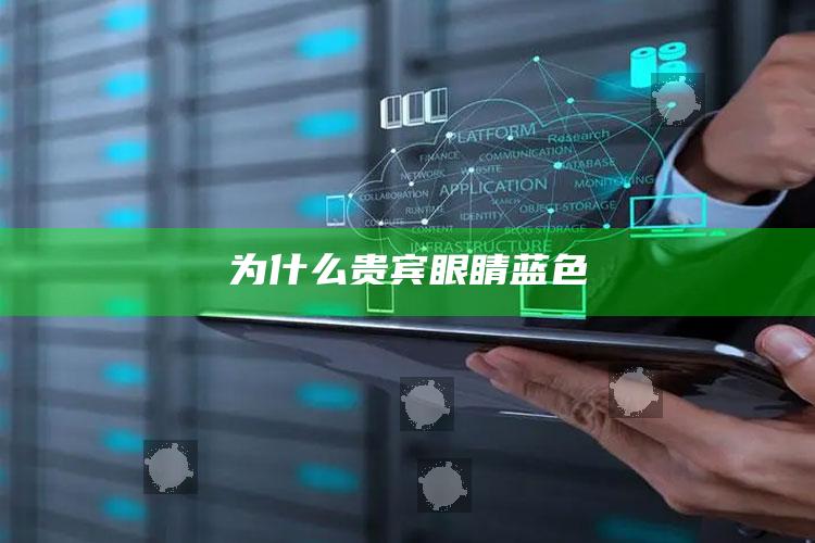 为什么贵宾眼睛蓝色