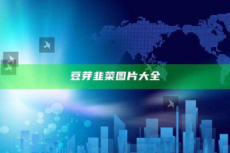 豆芽韭菜图片大全