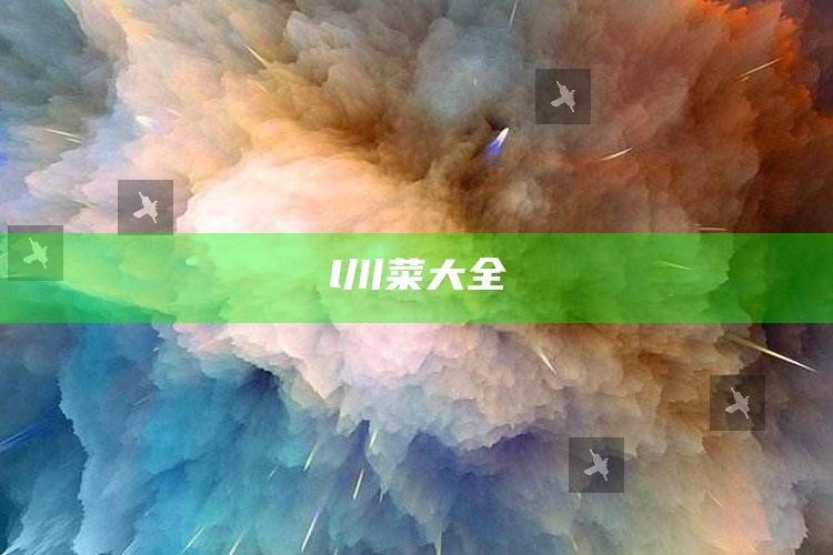 l川菜大全