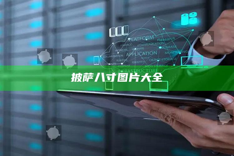 披萨八寸图片大全